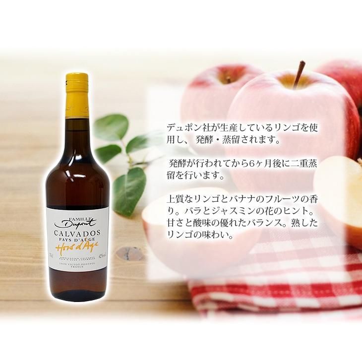 デュポン オルダージュ 700ml カルヴァドス ブランデー 42度 正規品 箱
