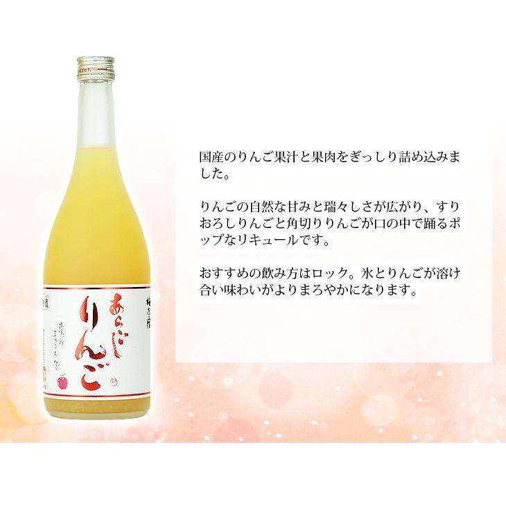 梅乃宿 あらごしりんご 720ml リキュール 7度 正規品 箱なし 梅乃宿酒造 国産りんご使用 送料無料｜enokishouten｜03