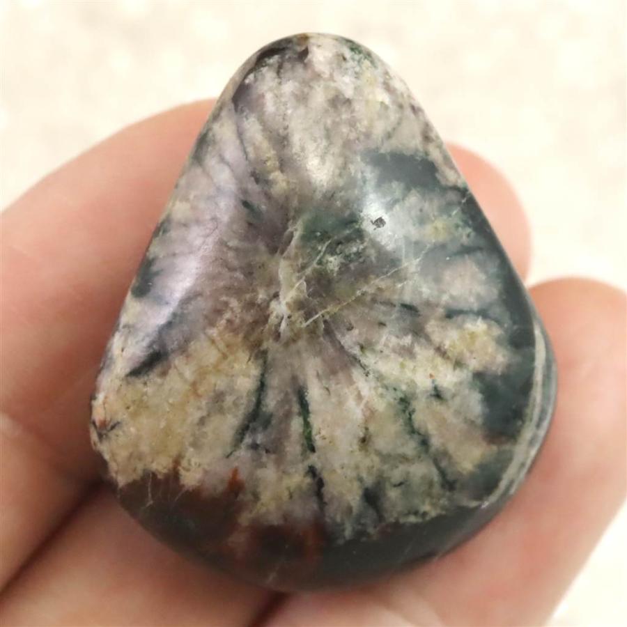 岐阜県根尾谷産 菊花石 16.2g 【榎本通商14636】 : 榎本通商 - 通販