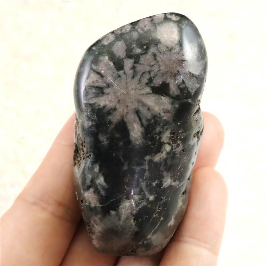 岐阜県根尾谷産 菊花石 101.2g 【榎本通商39050】 : 榎本通商 - 通販