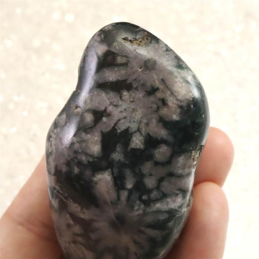 岐阜県根尾谷産 菊花石 101.2g 【榎本通商39050】 : 榎本通商 - 通販