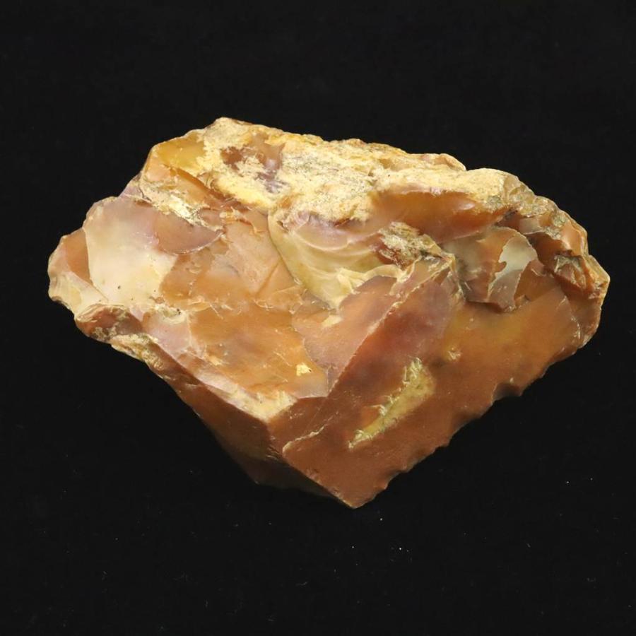 北海道幌加内町 ペトリファイドウッド 珪化木 111mm原石 282.4g 【榎本