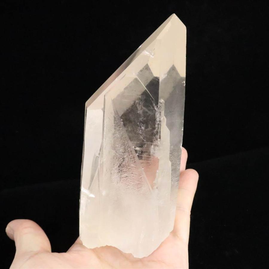 ブラジル産レムリアンシード アンセストラルタイムライン タイムリンク