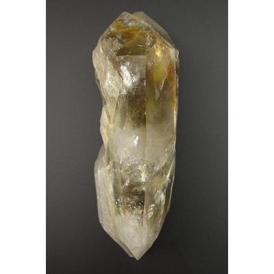 ロシアンレムリアン DT