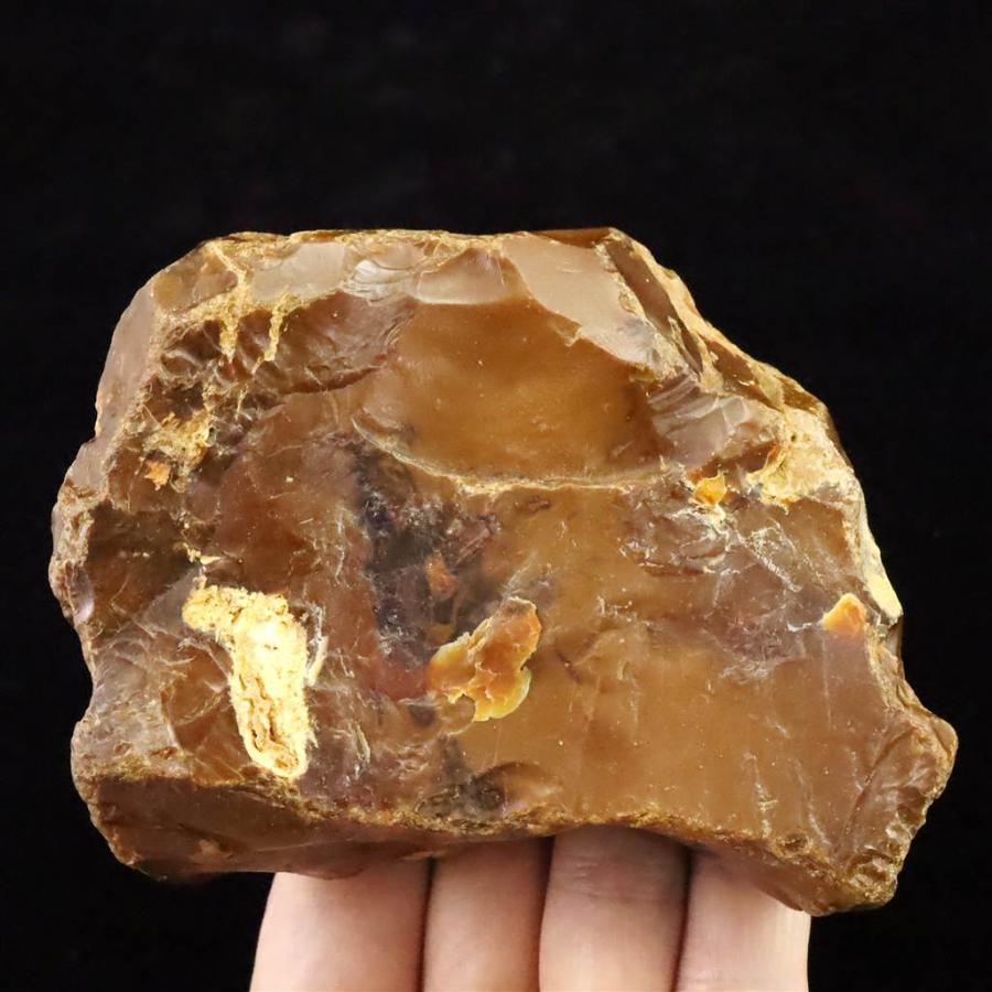 ★特選オンリー１品石★木の化石☆【ペトリファイドウッド珪化木✴︎原石】♡ 珪化木 ペトリファイドウッド 石になった木 愛知県犬山市産 145g/ 化石