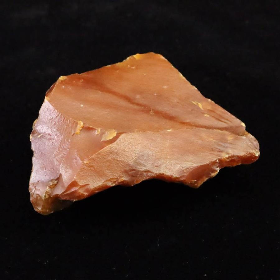 北海道幌加内町 ペトリファイドウッド 珪化木 75mm原石 134.5g 【榎本