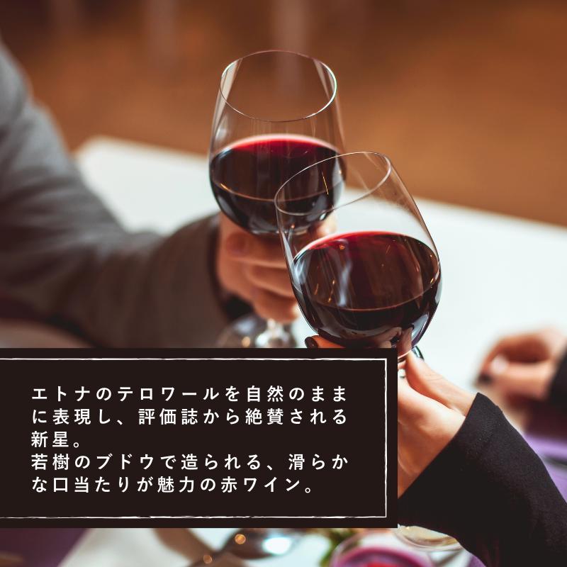 PIETRADOLCE（ピエトラドルチェ） 赤ワイン 2023年 ピエトラドルチェ