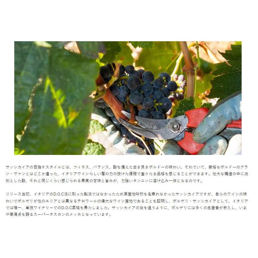 ワイン 赤ワイン 2020年 サッシカイア / テヌータ・サン・グイド ワイン 赤ワイン 2020年 サッシカイア / テヌータ・サン・グイド