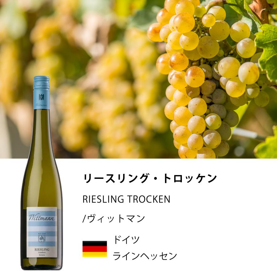 ワイン 白ワイン 2022年 リースリング・トロッケン
