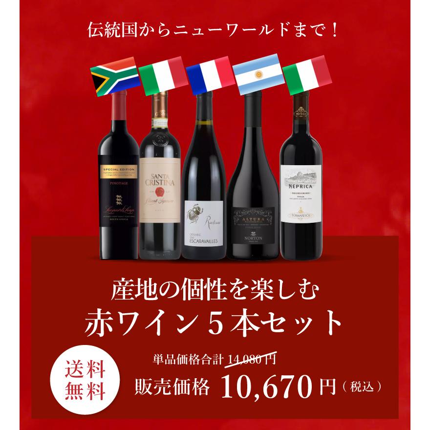 ワイン ワインセット 産地の個性を楽しむ赤ワイン5本セット VB4-2 [750ml x 5] 送料無料｜enoteca-online｜02