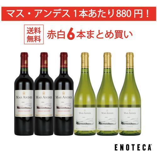 ワイン ワインセット エノテカ マス・アンデス赤白6本まとめ買い MA6-1 