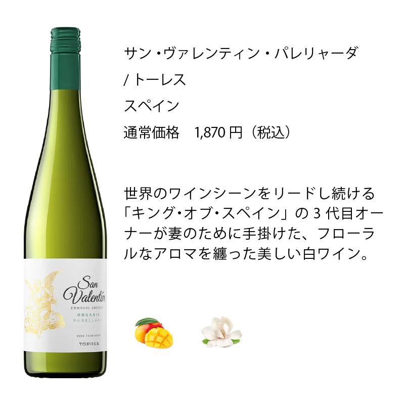 福袋 ワインセット 白ワイン エノテカ ゴールデンウィークワイン
