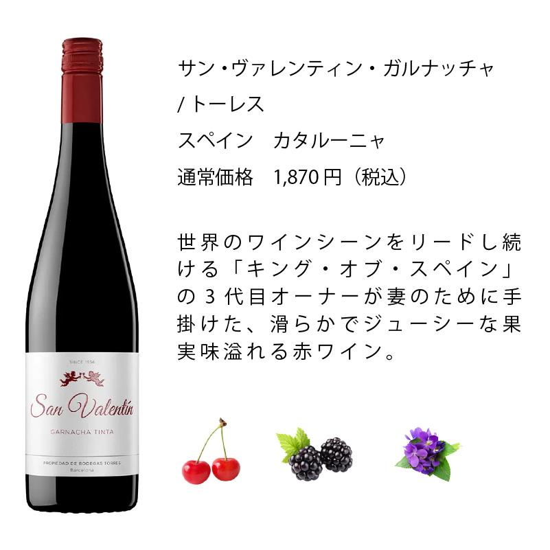 ワインセット エノテカ 厳選赤ワイン10本セット PA4-1 [750ml x 10