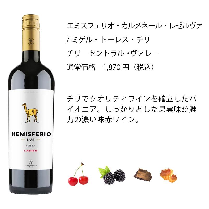 ワインセット エノテカ 厳選赤ワイン10本セット PA4-1 [750ml x 10