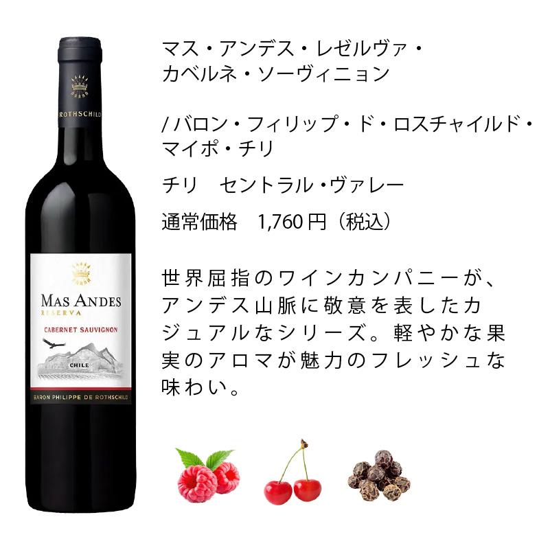ワインセット エノテカ 厳選赤ワイン10本セット PA4-1 [750ml x 10