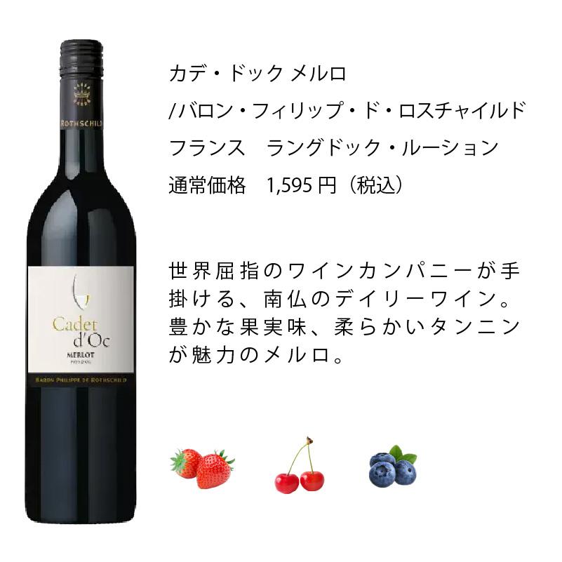 ワインセット エノテカ 厳選赤ワイン10本セット PA4-1 [750ml x 10