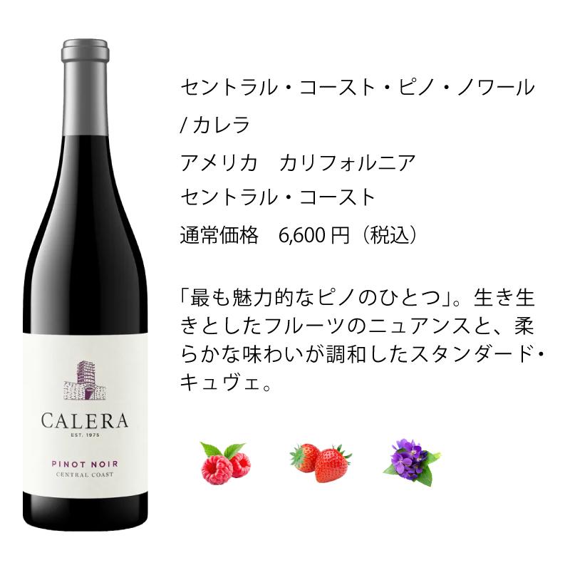 ワインセット エノテカ 赤ワイン 6本セット 人気銘柄揃い