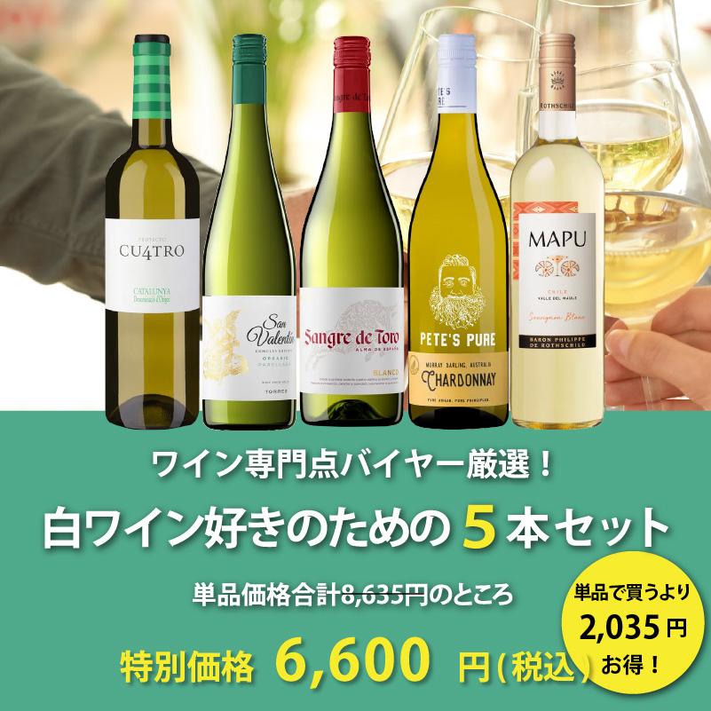 ENOTECA ワイン　2本セット ワインセット エノテカ 厳選赤ワイン10本セット PA4-1 [750ml x 10