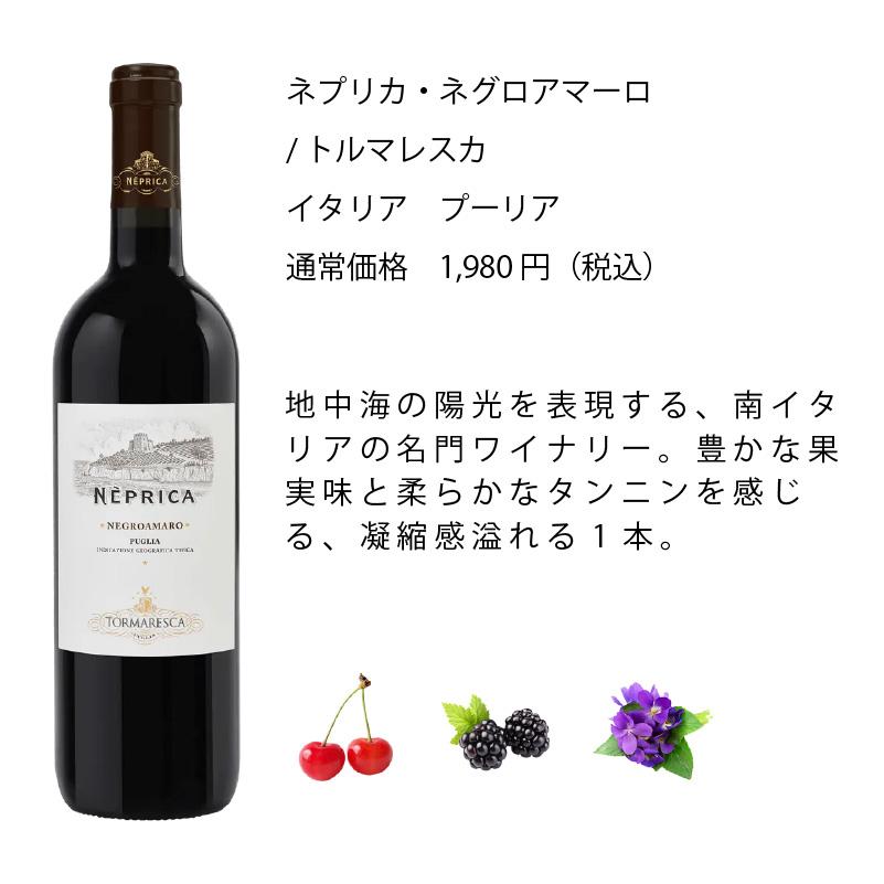 ワイン ワインセット エノテカ 1本8,580円のバローロ入り！イタリア