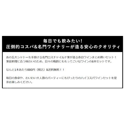 ワイン ワインセット エノテカ マス・アンデス赤白6本まとめ買い MA12-1 [750ml x 6] 送料無料（891210MA47C3）｜enoteca-online｜04