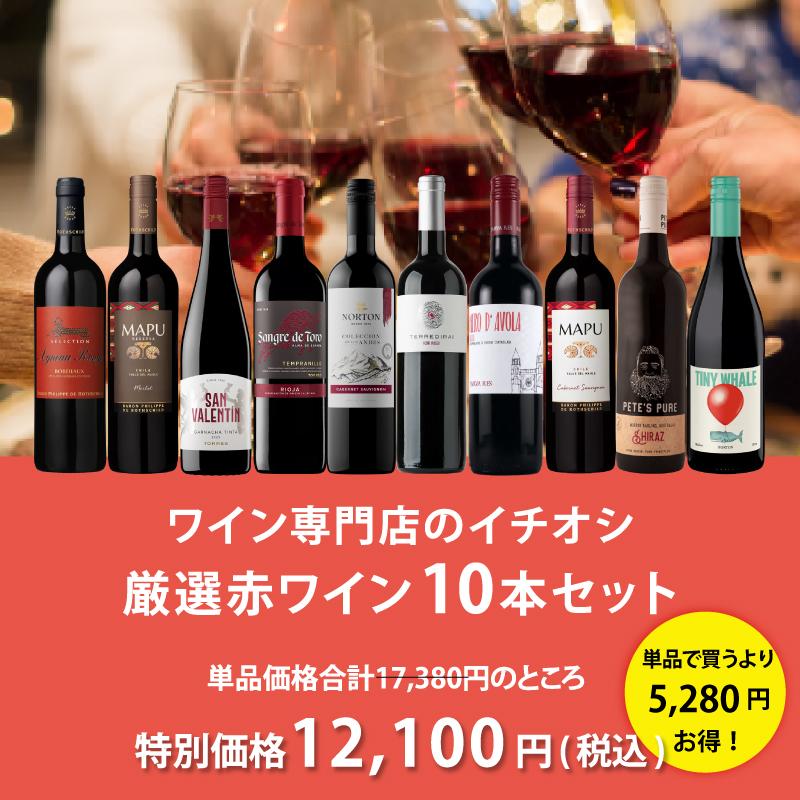 ワインセット エノテカ 厳選赤ワイン10本セット PA9-1 [750ml x 10