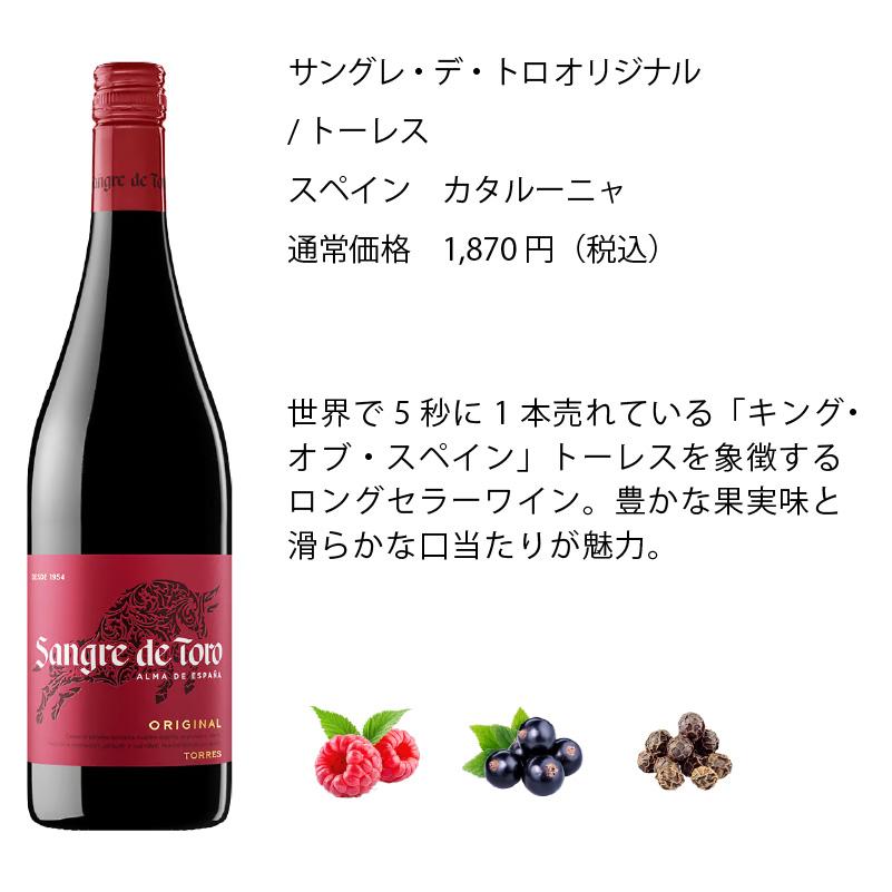 ワインセット エノテカ 厳選赤ワイン10本セット PA10-1 [750ml x 10