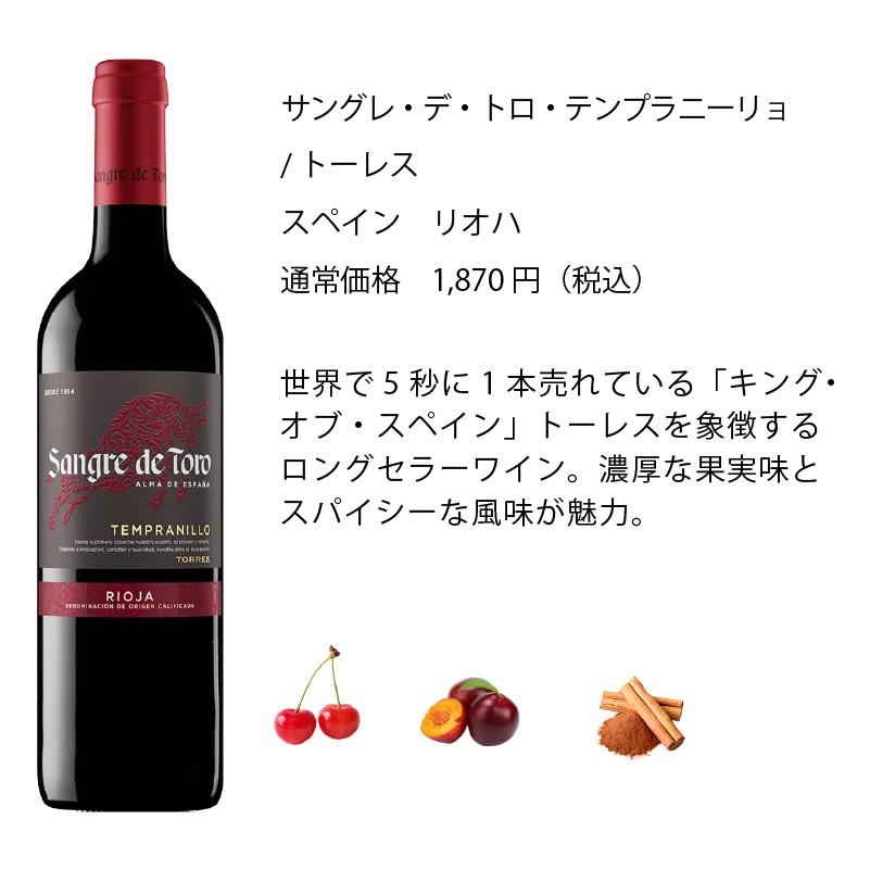 ワインセット エノテカ 厳選赤ワイン10本セット PA10-1 [750ml x 10