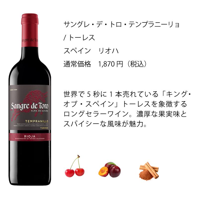 ワインセット エノテカ 厳選赤ワイン10本セット PA9-1 [750ml x 10