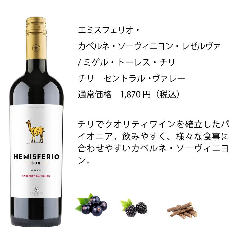 ワインセット エノテカ 厳選赤ワイン10本セット PA10-1 [750ml x 10