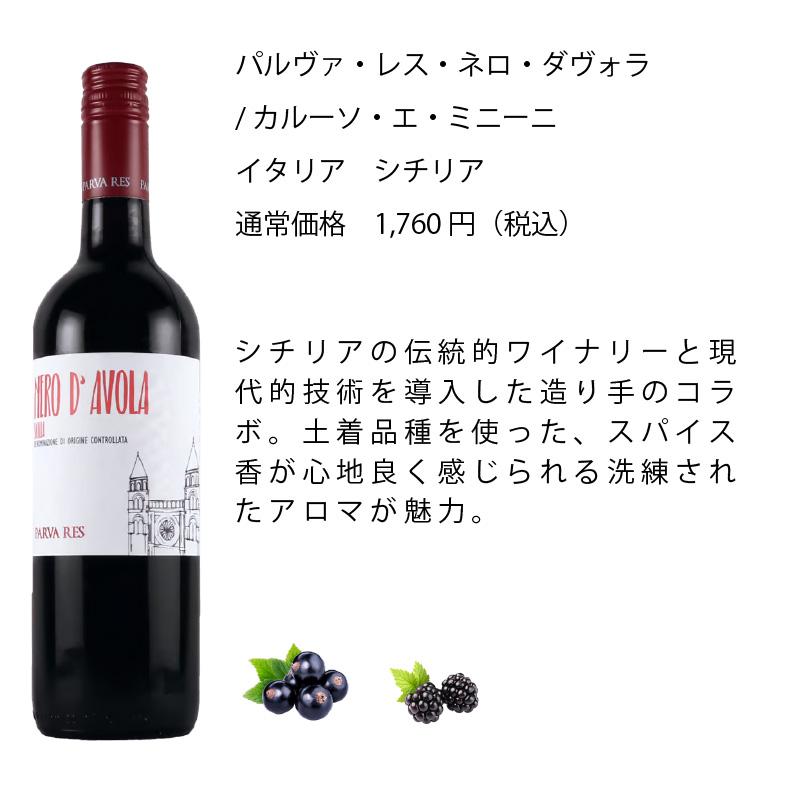 ワインセット エノテカ 厳選赤ワイン10本セット PA10-1 [750ml x 10