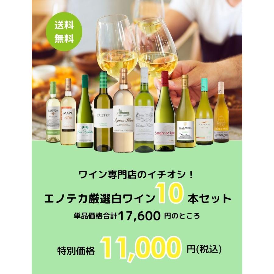 ワイン ワインセット ワイン専門店のイチオシ！エノテカ厳選白