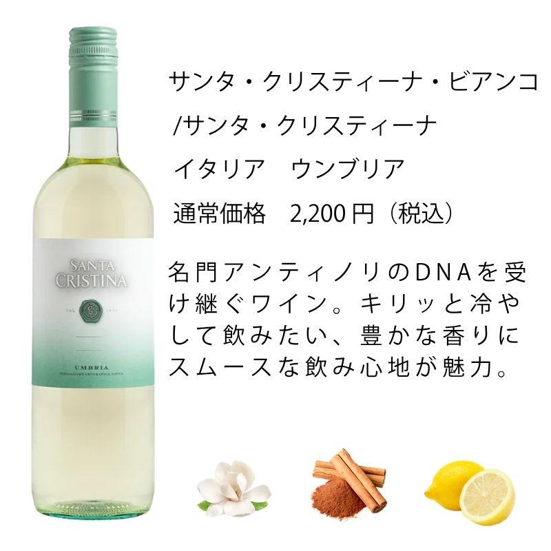 ワイン ワインセット エノテカ 厳選白ワイン10本セット PB6-2 [750ml x
