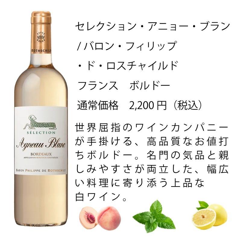 ワイン ワインセット エノテカ 厳選白ワイン10本セット PB6-2 [750ml x