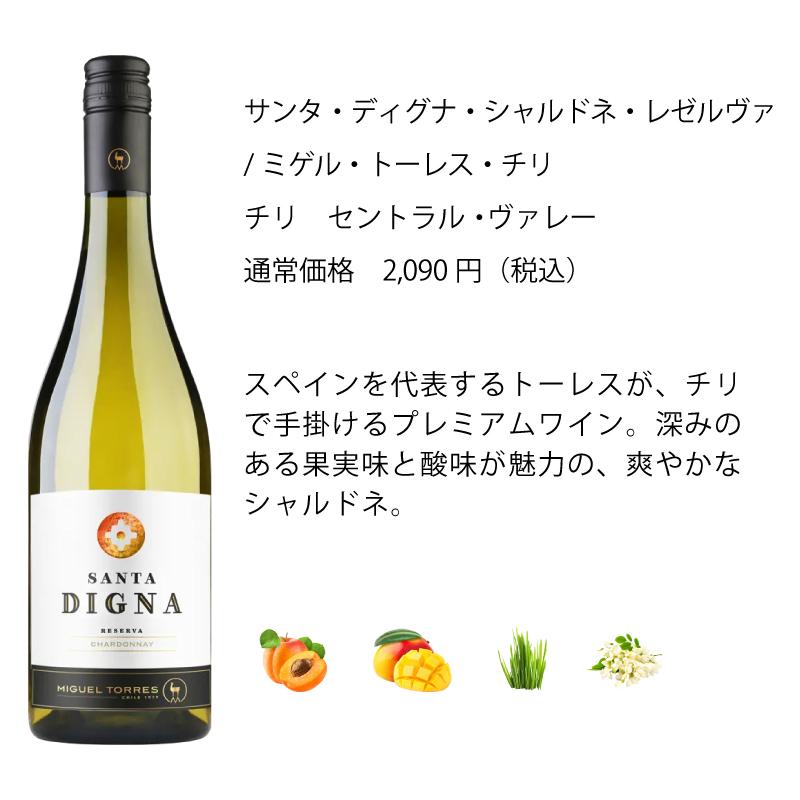 ワイン ワインセット エノテカ 厳選白ワイン10本セット PB7-1 [750ml x