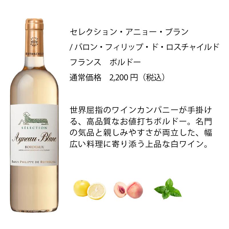 ワイン ワインセット ワイン専門店のイチオシ！エノテカ厳選白ワイン10