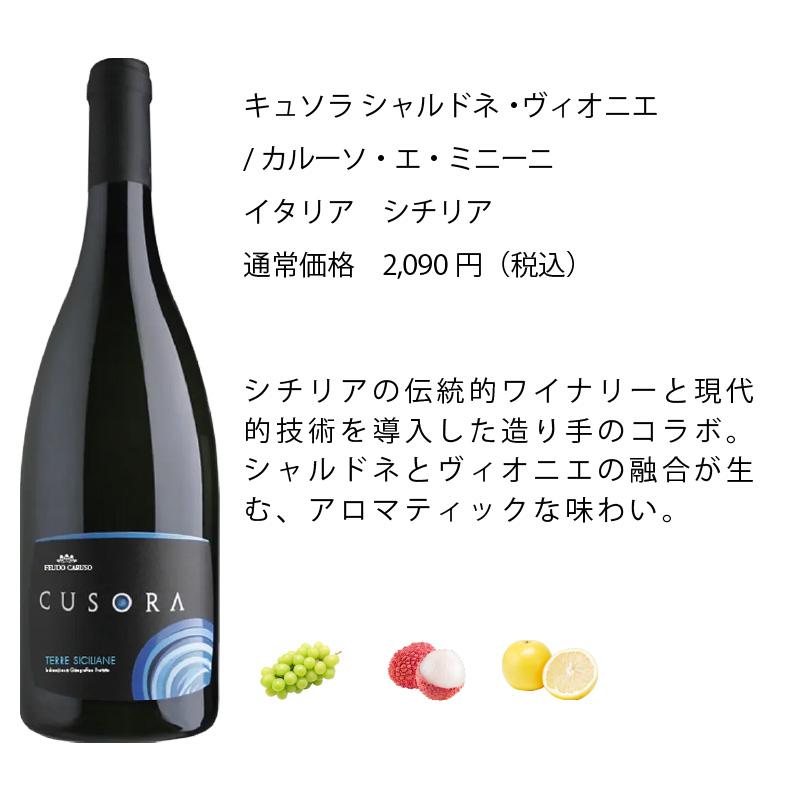 ワイン ワインセット ワイン専門店のイチオシ！エノテカ厳選白ワイン10