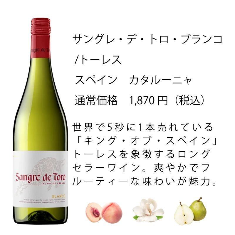 ワイン ワインセット エノテカ 厳選白ワイン10本セット PB6-2 [750ml x