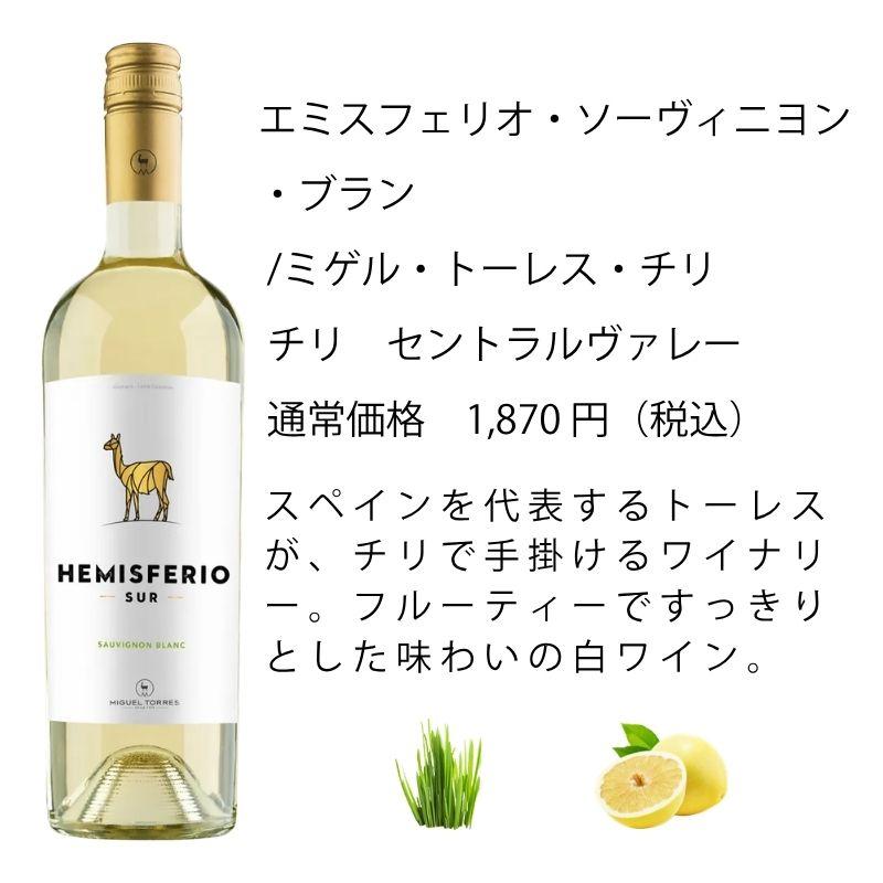 ワイン ワインセット エノテカ 厳選白ワイン10本セット PB6-3 [750ml x