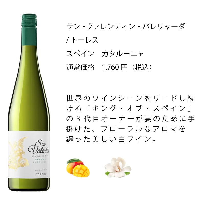 ワイン ワインセット ワイン専門店のイチオシ！エノテカ厳選白ワイン10