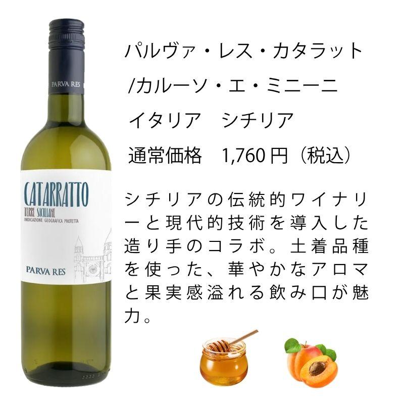 ワイン ワインセット エノテカ 厳選白ワイン10本セット PB6-2 [750ml x