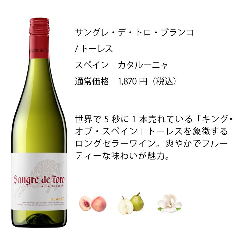ワイン ワインセット エノテカ 厳選白ワイン10本セット PB8-1 [750ml x