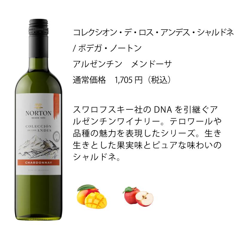 ワイン ワインセット エノテカ 厳選白ワイン10本セット PB8-1 [750ml x