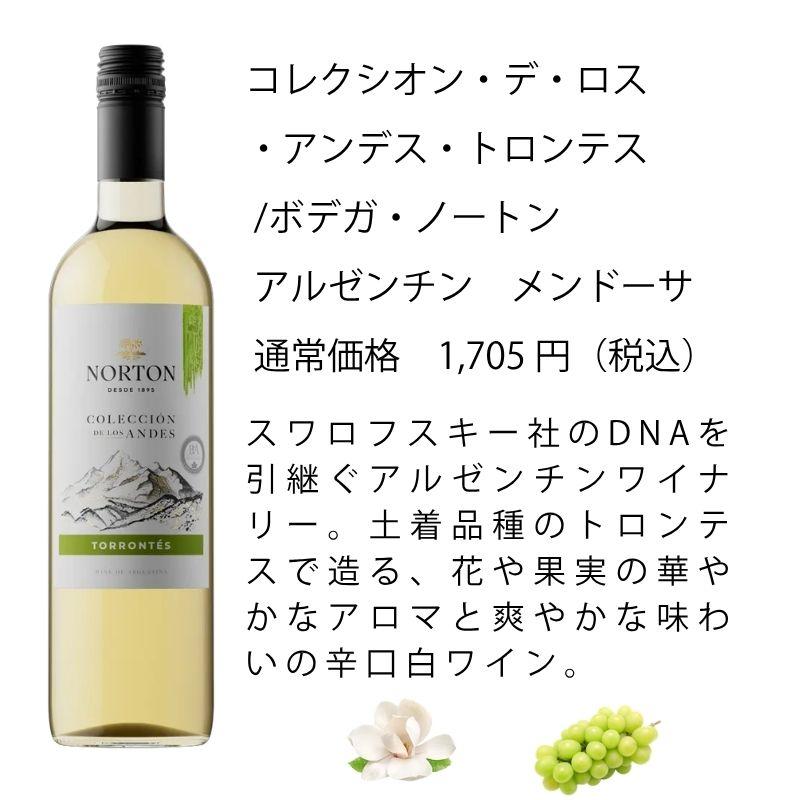 ワイン ワインセット エノテカ 厳選白ワイン10本セット PB6-2 [750ml x