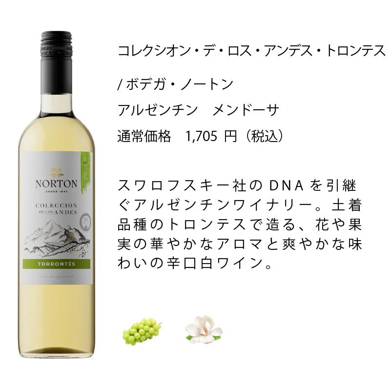 ワイン ワインセット ワイン専門店のイチオシ！エノテカ厳選白ワイン10