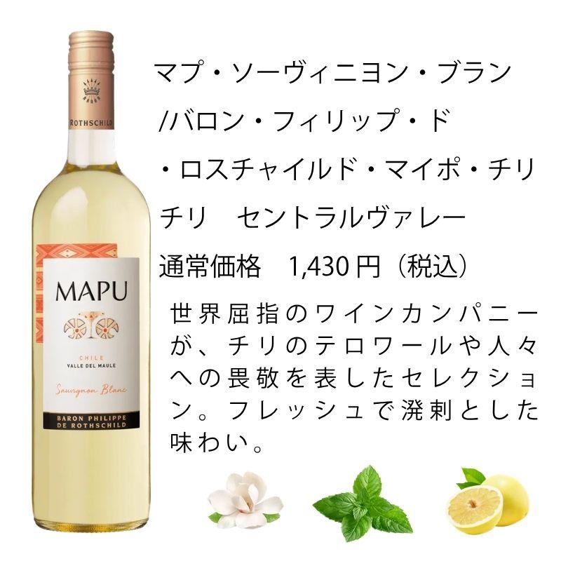 ワイン ワインセット エノテカ 厳選白ワイン10本セット PB6-2 [750ml x
