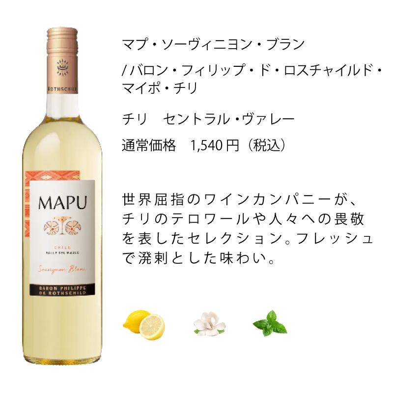 ワイン ワインセット エノテカ 厳選白ワイン10本セット PB6-3 [750ml x