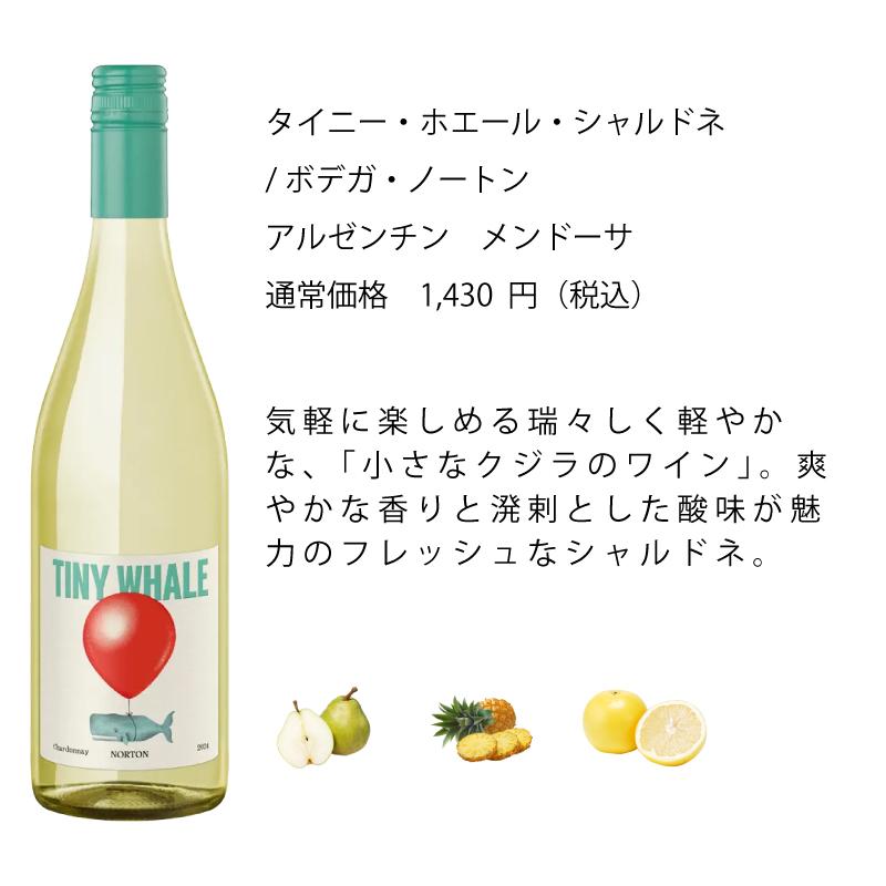 ワイン ワインセット エノテカ 厳選白ワイン10本セット PB8-1 [750ml x