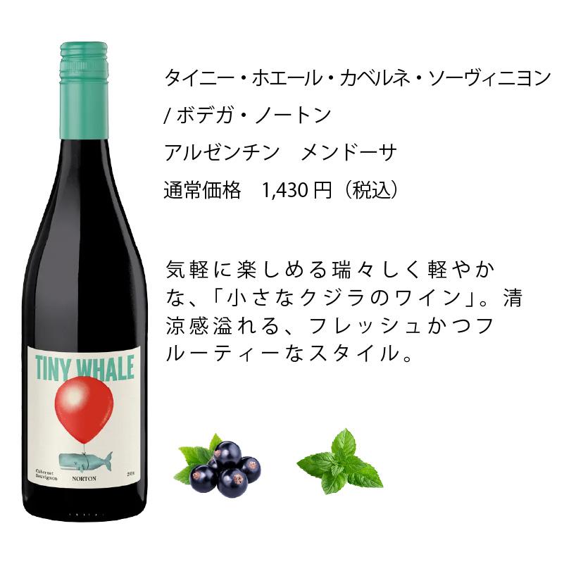 ワインセット エノテカ売れ筋！厳選バラエティー10本セット PP4-1
