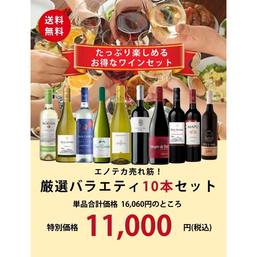 新品未開封品】エノテカ厳選各ワイン10本セット果実酒