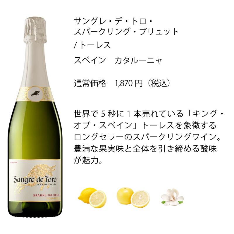 ワインセット エノテカ売れ筋！厳選バラエティー10本セット PP4-2